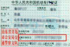 青岛违章查询|青岛违章记录查询-青岛新闻网